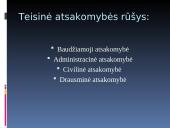 Teisinės atsakomybės pagrindai ir principai 4 puslapis
