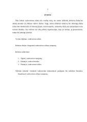 Vadovavimo stiliaus samprata (Vadybos pagrindai) 2 puslapis