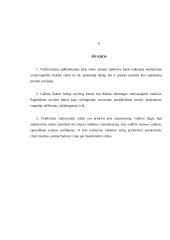 Vadovavimo stiliaus samprata (Vadybos pagrindai) 8 puslapis