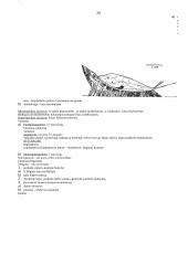 Organizmų judėjimas 20 puslapis