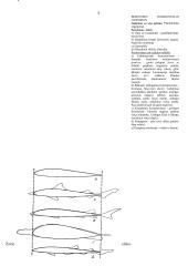 Organizmų judėjimas 3 puslapis