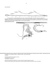 Organizmų judėjimas 9 puslapis