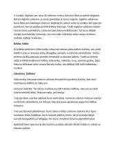 Lietuvos viduramžiai 2 puslapis