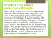 Antano Grašvos „veidai“ skaidrės 12 puslapis