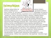 Antano Grašvos „veidai“ skaidrės 16 puslapis