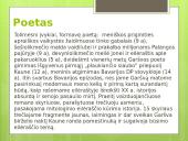 Antano Grašvos „veidai“ skaidrės 7 puslapis