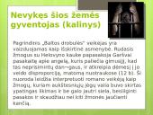 Antano Grašvos „veidai“ skaidrės 10 puslapis