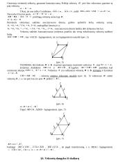 Orientuotos atkarpos ir vektoriai 5 puslapis
