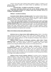 Pajamų šaltiniai ir pajamų nelygybė 2 puslapis