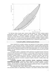 Pajamų šaltiniai ir pajamų nelygybė 7 puslapis