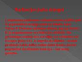 Radioaktyvumo pristatymas 11 puslapis