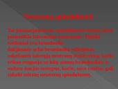 Radioaktyvumo pristatymas 14 puslapis