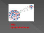 Radioaktyvumo pristatymas 7 puslapis