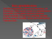 Radioaktyvumo pristatymas 8 puslapis