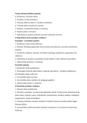 Pamoka — pagrindinė mokymo organizavimo forma 2 puslapis