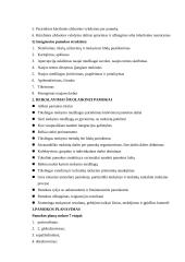 Pamoka — pagrindinė mokymo organizavimo forma 3 puslapis