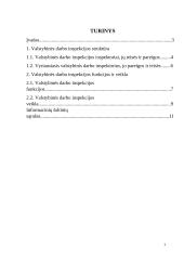 Valstybinės darbo inspekcijos funkcijos ir veikla