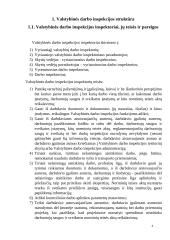 Valstybinės darbo inspekcijos funkcijos ir veikla 3 puslapis