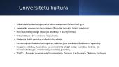 Viduramžių Europos kultūra (skaidrės) 4 puslapis