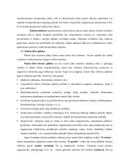 Pasaulio ūkis ir ekonomika 14 puslapis