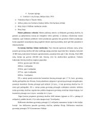 Pasaulio ūkis ir ekonomika 17 puslapis