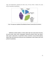  Turistų iš Norvegijos lojalumo didinimas Druskininkų kurorte 19 puslapis