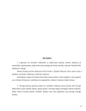  Turistų iš Norvegijos lojalumo didinimas Druskininkų kurorte 20 puslapis