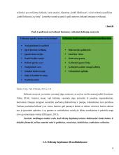  Turistų iš Norvegijos lojalumo didinimas Druskininkų kurorte 7 puslapis