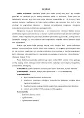 Pelno didinimo galimybės sporto klubo „FITUS“ atžvilgiu 2 puslapis