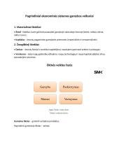 Ekonomikos mokslo tyrimo objektas ir metodai 5 puslapis