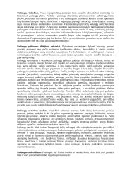Paslaugų rinkodara