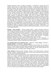 Paslaugų rinkodara 5 puslapis