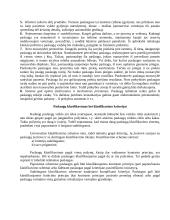 Paslaugų teorija 2 puslapis