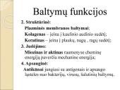 Baltymai 7 puslapis