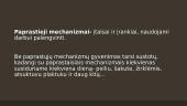 Paprastieji mechanizmai (skaidrės) 2 puslapis