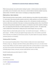 Pranešimo spaudai kūrimas 2 puslapis