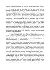 Valstybės tarnybos samprata (rašto darbas) 2 puslapis