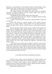 Valstybės tarnybos samprata (rašto darbas) 3 puslapis