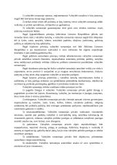 Valstybės tarnybos samprata (rašto darbas) 4 puslapis