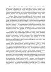 Valstybės tarnybos samprata (rašto darbas) 6 puslapis