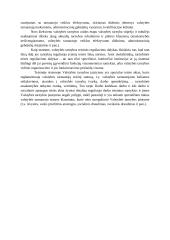 Valstybės tarnybos samprata (rašto darbas) 7 puslapis