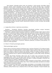 Pažinimo filosofija 3 puslapis