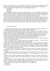 Pažinimo filosofija 4 puslapis