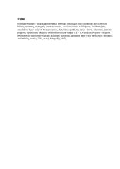 Postmodernizmo dailė ir architektūra 2 puslapis