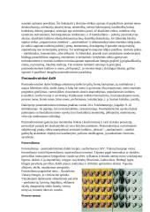 Postmodernizmo dailė ir architektūra 4 puslapis