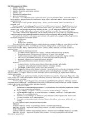 Pedagogikos profesijos esmė ir ypatumai 11 puslapis