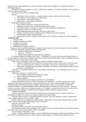 Pedagogikos profesijos esmė ir ypatumai 13 puslapis