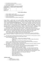 Pedagogikos profesijos esmė ir ypatumai 15 puslapis