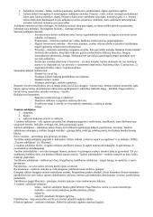 Pedagogikos profesijos esmė ir ypatumai 16 puslapis