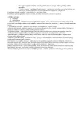 Pedagogikos profesijos esmė ir ypatumai 17 puslapis